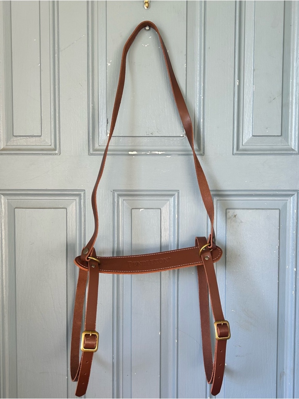 Pendleton Blanket Roll
Carry Strap Blanket Harness - No Blanket - Strap Only